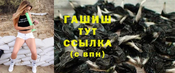 СК Пересвет