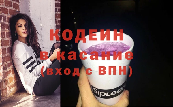 крисы Кулебаки
