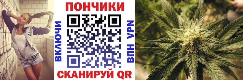 Шишки марихуана Bruce Banner  что такое наркотик  Остров 